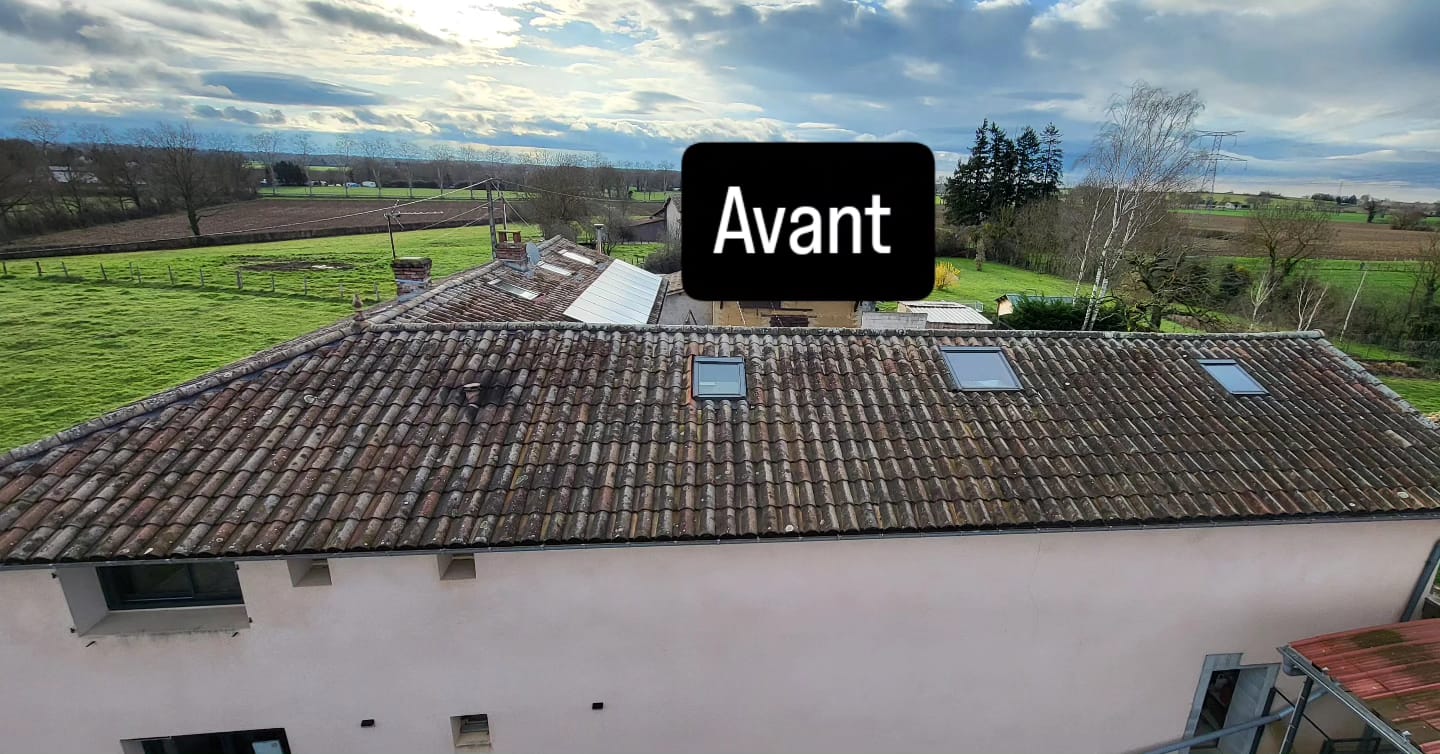 Avant