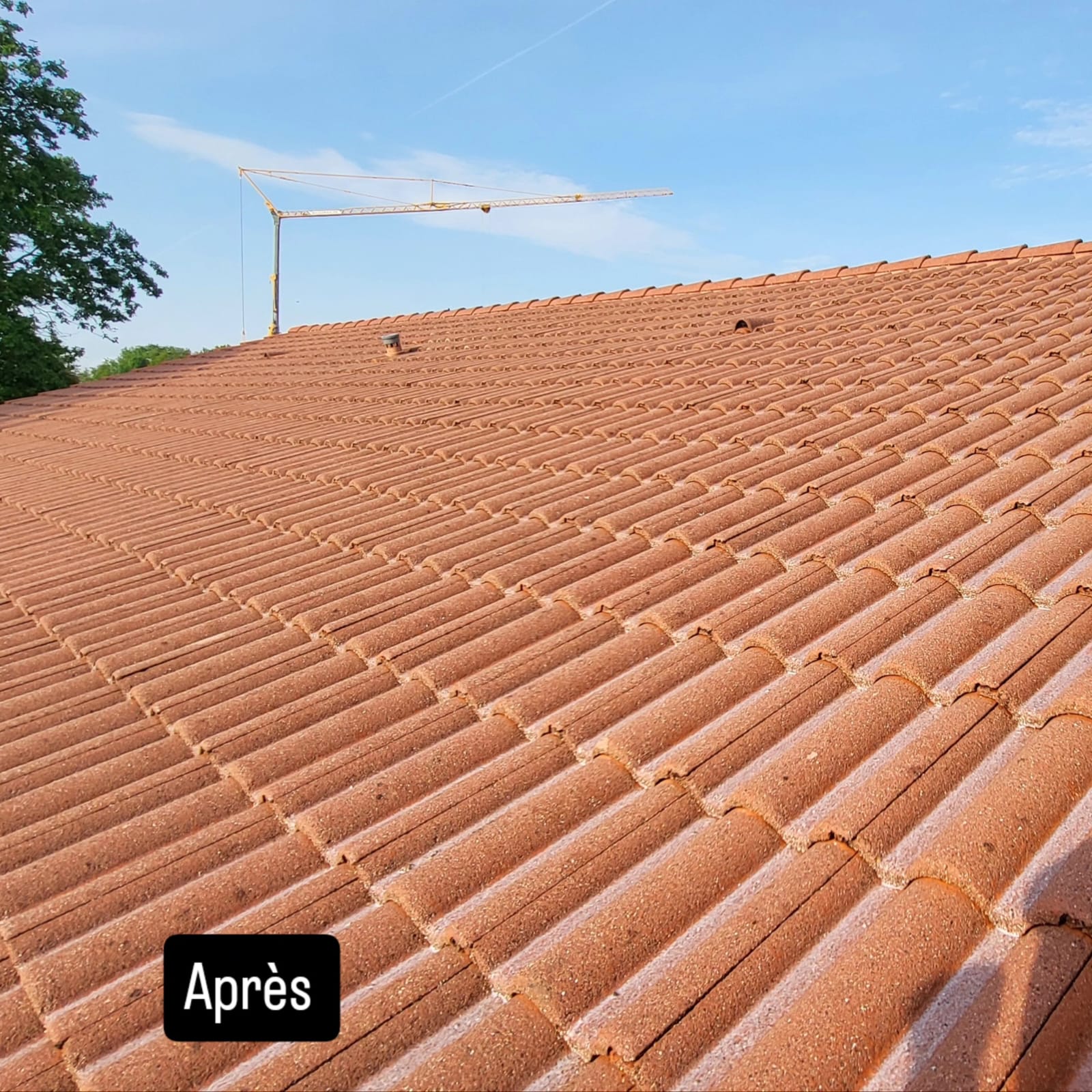 Après