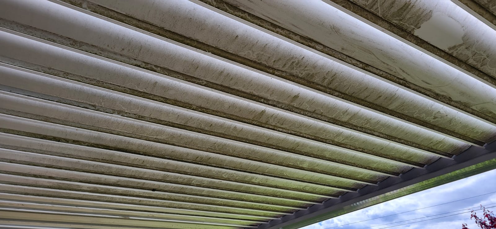 Avant - Pergola