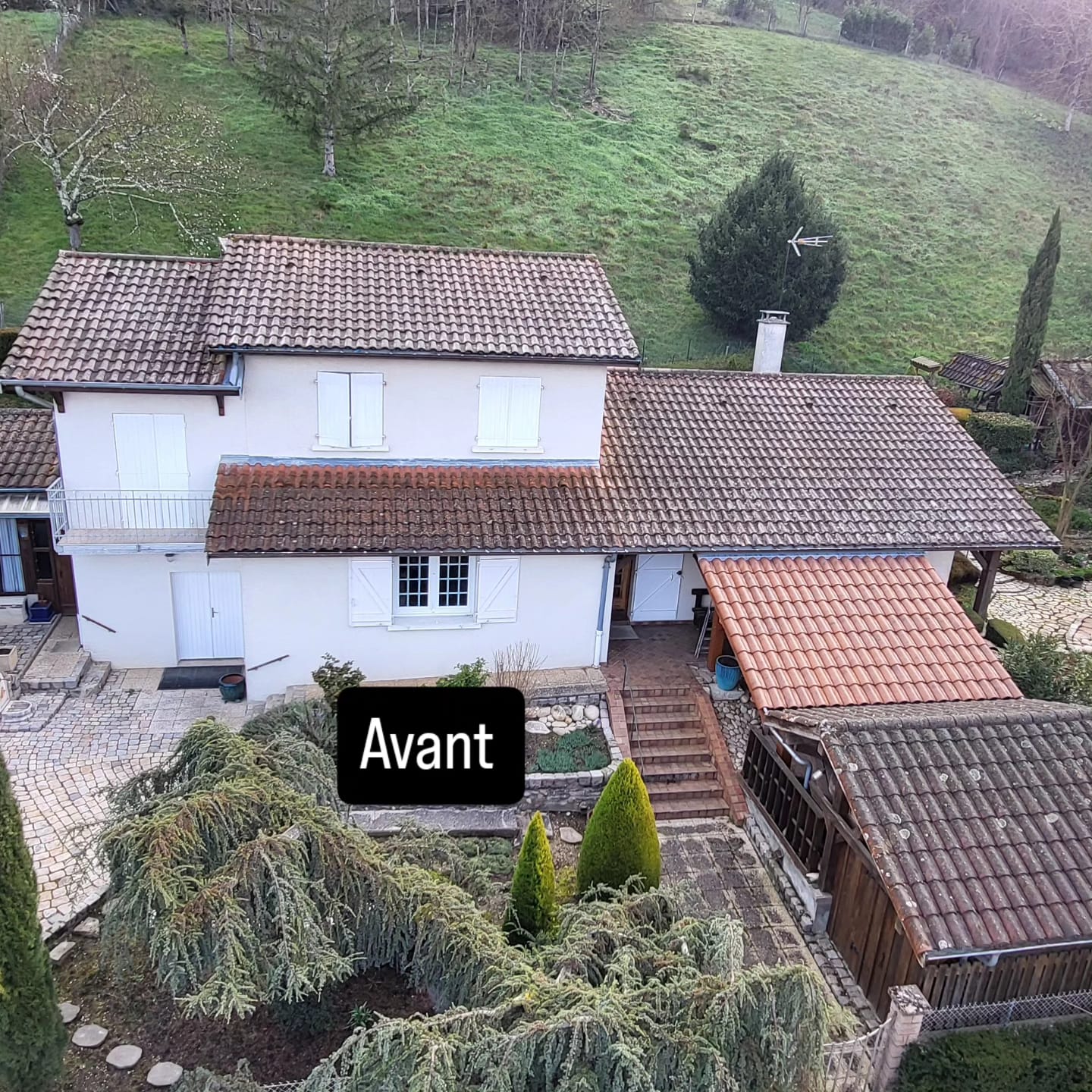 Avant