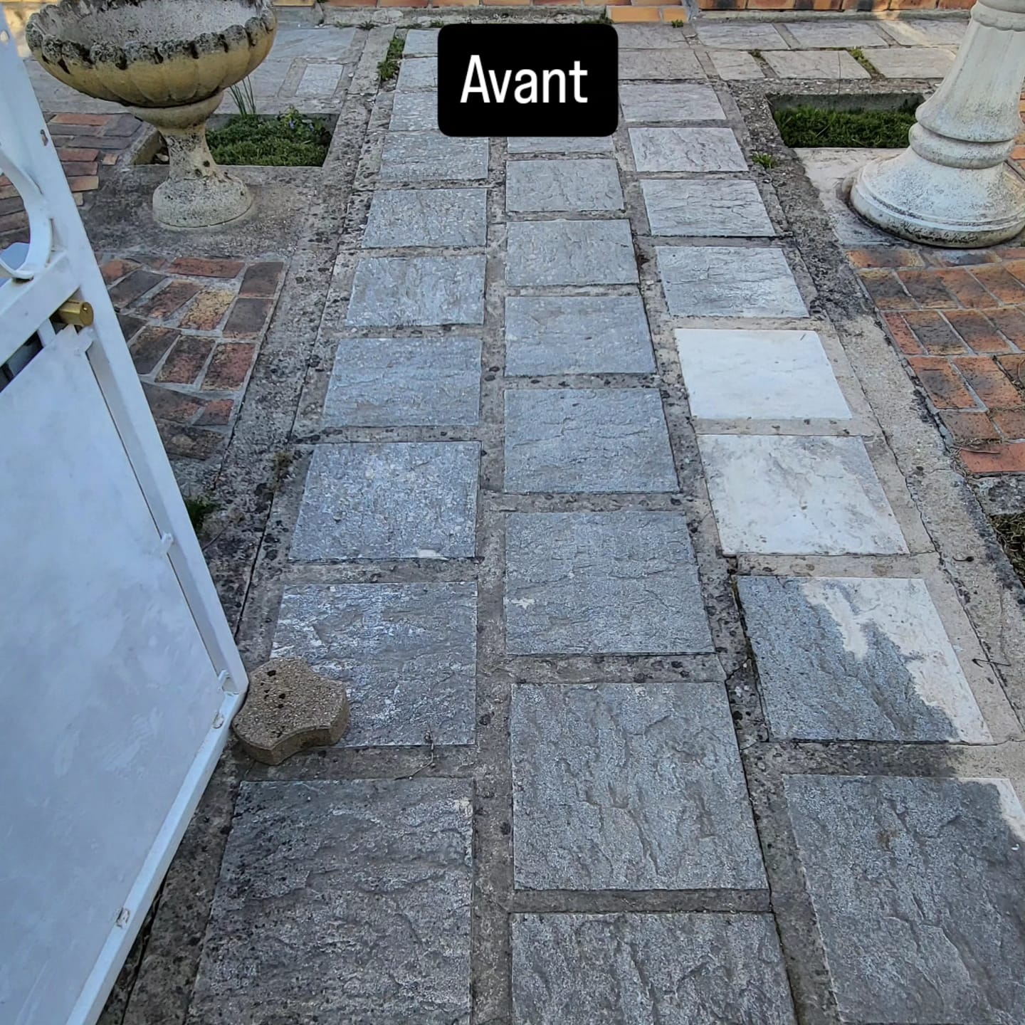 Avant