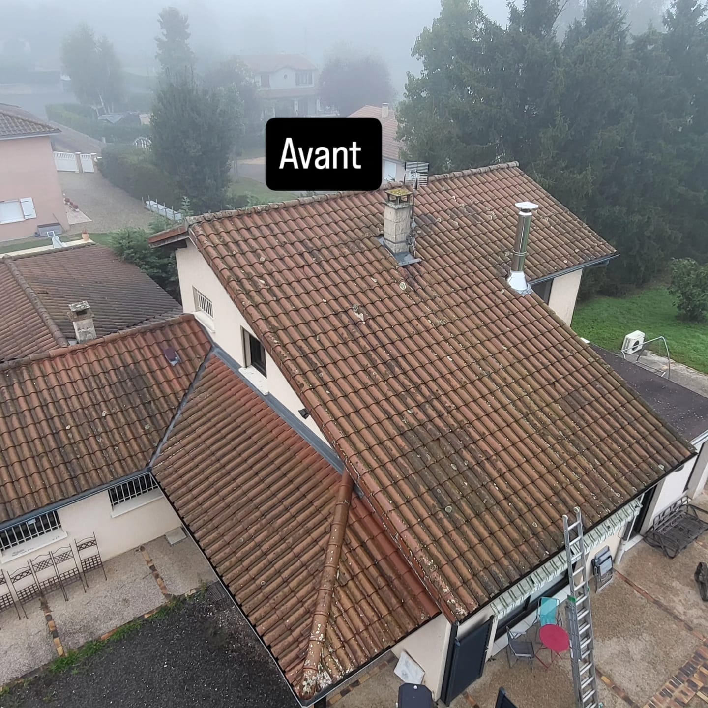 Avant