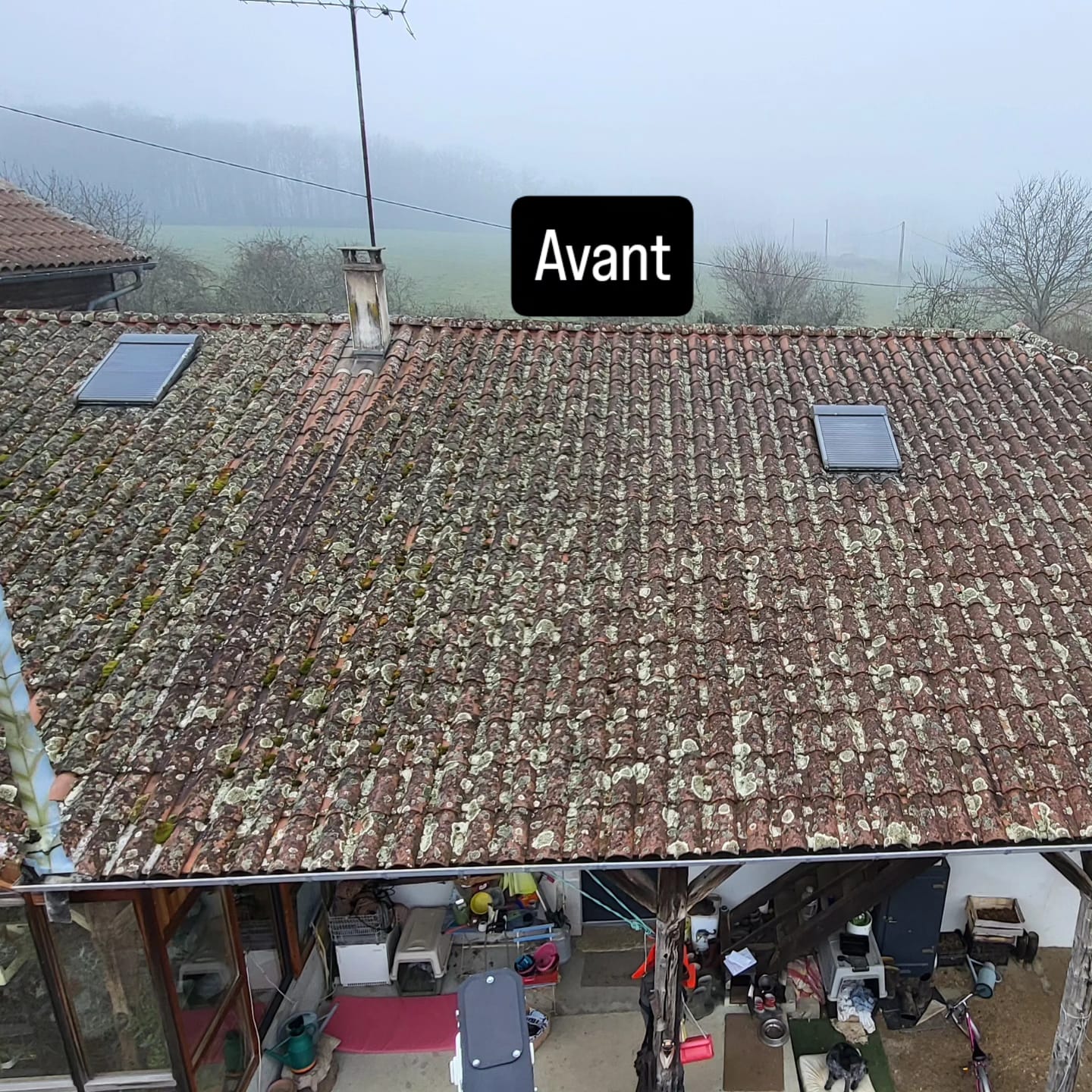 Avant