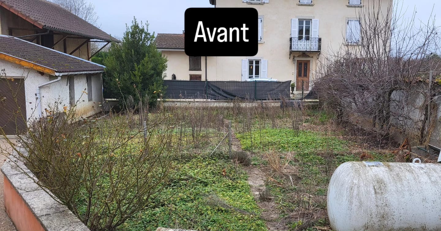 Avant